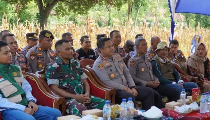 Zoom Panen Jagung Bersama Presiden, Polres Pamekasan Tegaskan Dukungan Ketahanan Pangan