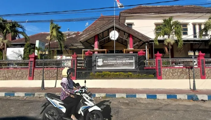 DKPP Sumenep Siapkan Rp1,9 Miliar untuk Pengadaan Hand Tractor pada 2026